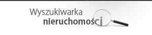 wyszukiwarka